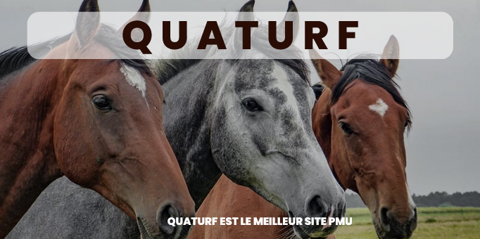 quarturf