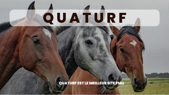 quarturf